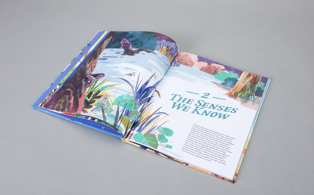 Supernavigators: How Animals Find Their Way