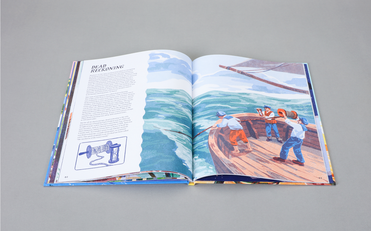 Supernavigators: How Animals Find Their Way