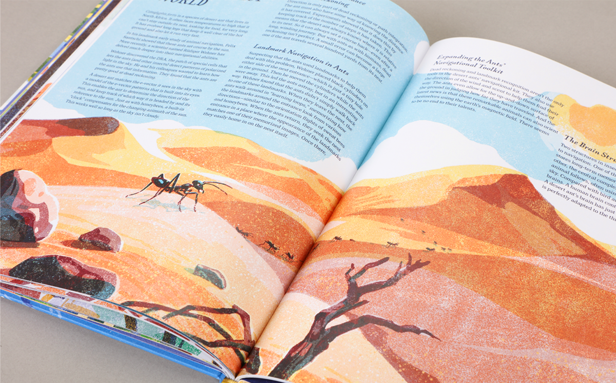 Supernavigators: How Animals Find Their Way