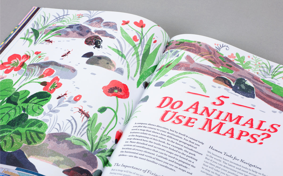 Supernavigators: How Animals Find Their Way