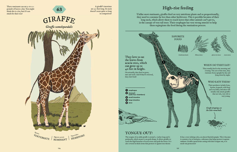 Eatopedia: The Wild World of Animal Digestion