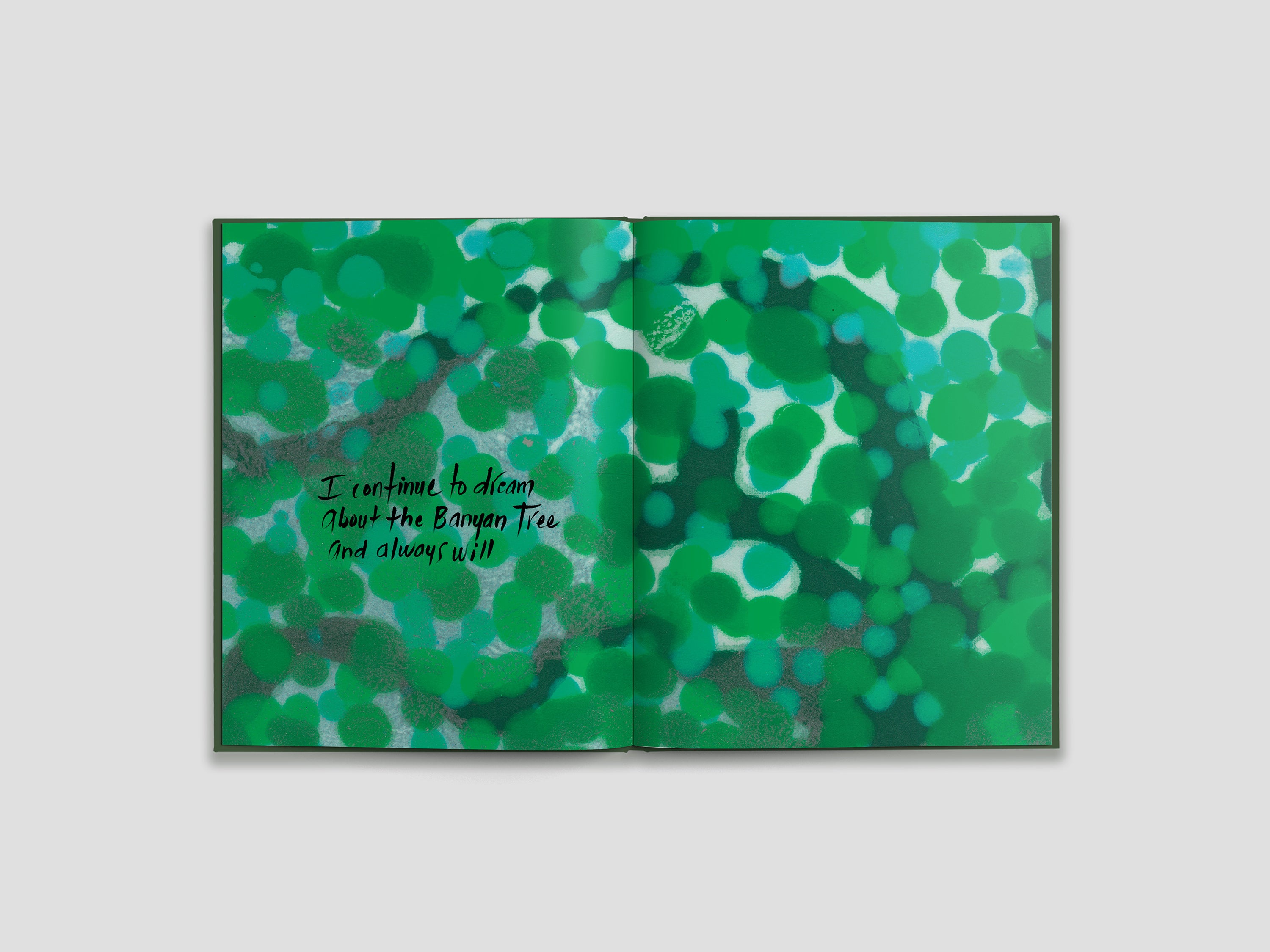 CD 安藤さと子 / A Little Seed Of One Big Tree A Little Seed