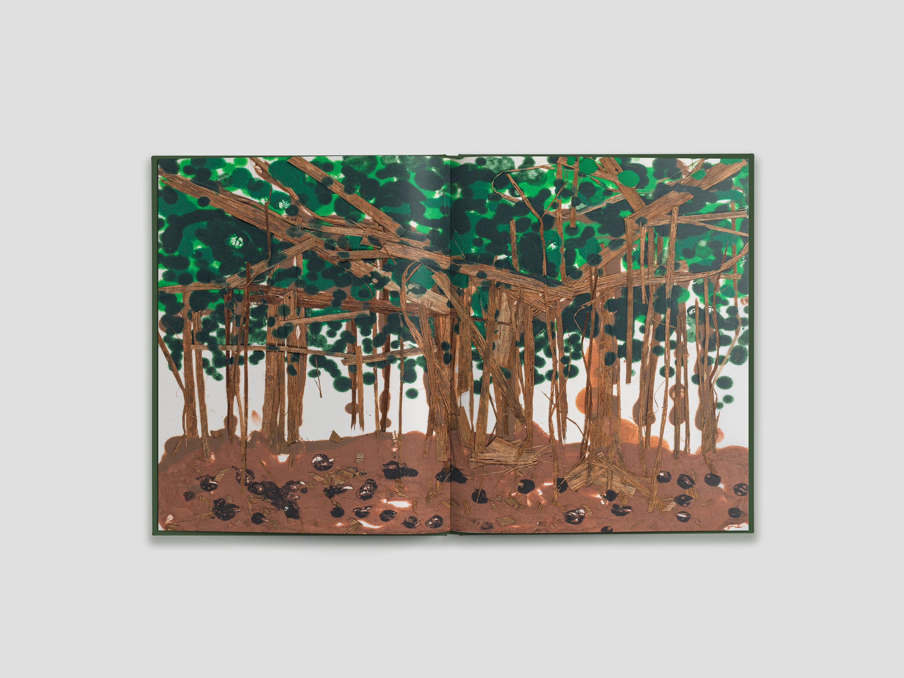CD 安藤さと子 / A Little Seed Of One Big Tree A Little Seed Of One Big Tree - Amazon.com Music