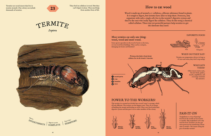 Eatopedia: The Wild World of Animal Digestion