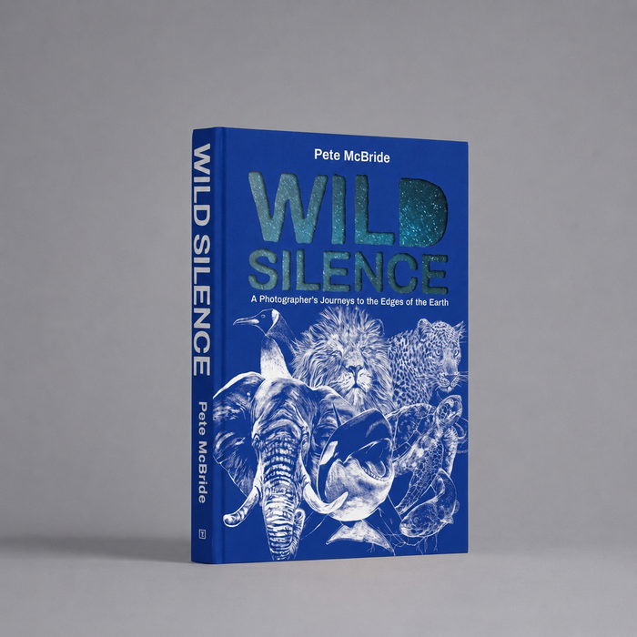 Wild Silence
