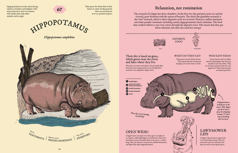 Eatopedia: The Wild World of Animal Digestion