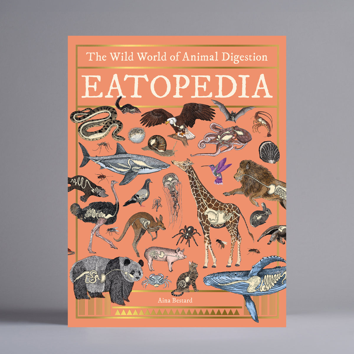 Eatopedia: The Wild World of Animal Digestion