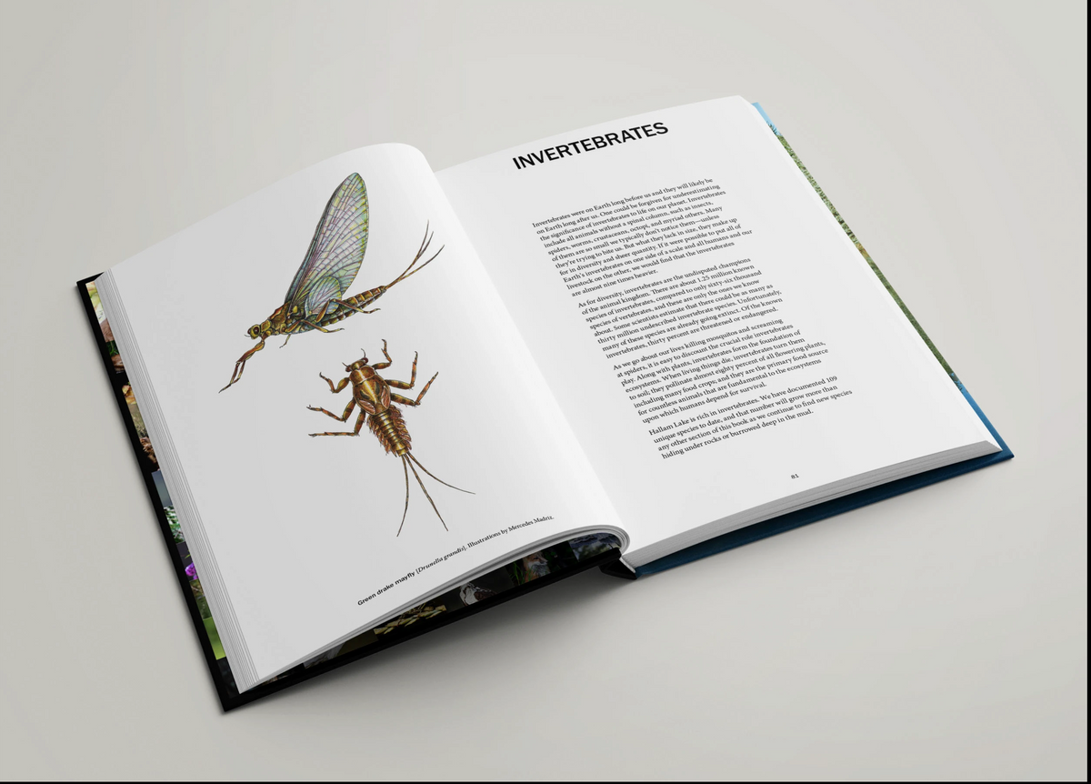 The Hidden Life Around Us: Bioblitz Aspen, Exploring the Rich Diversity of Species in Our Backyard