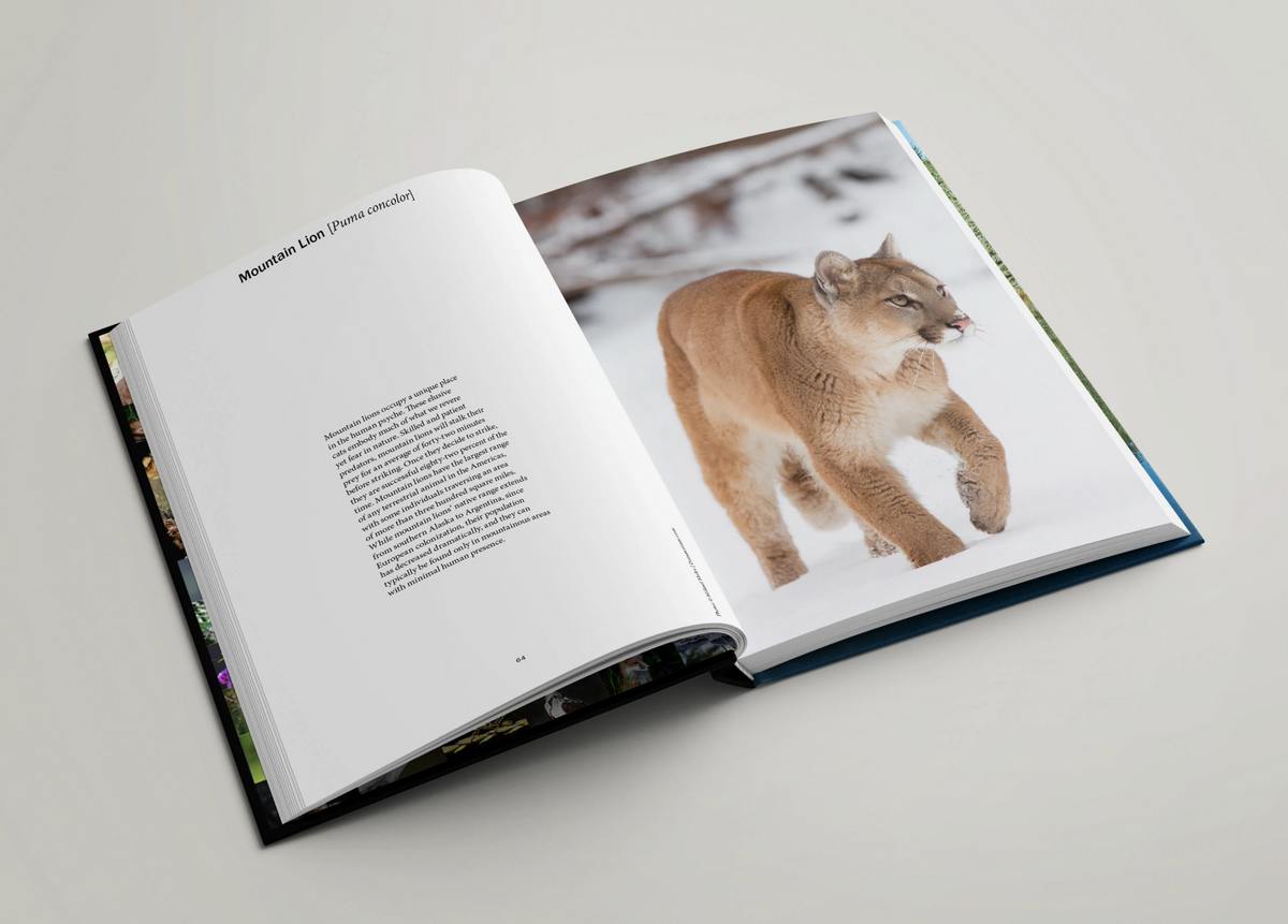 The Hidden Life Around Us: Bioblitz Aspen, Exploring the Rich Diversity of Species in Our Backyard