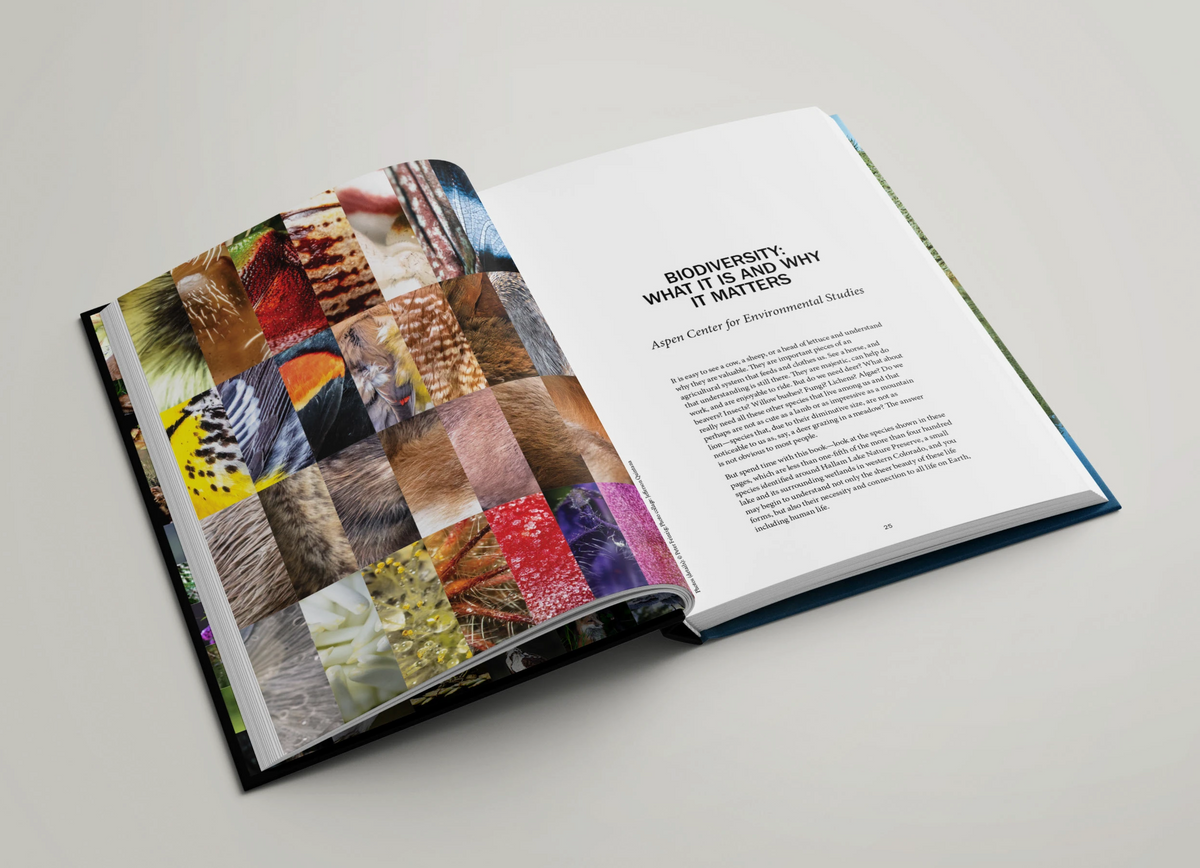 The Hidden Life Around Us: Bioblitz Aspen, Exploring the Rich Diversity of Species in Our Backyard