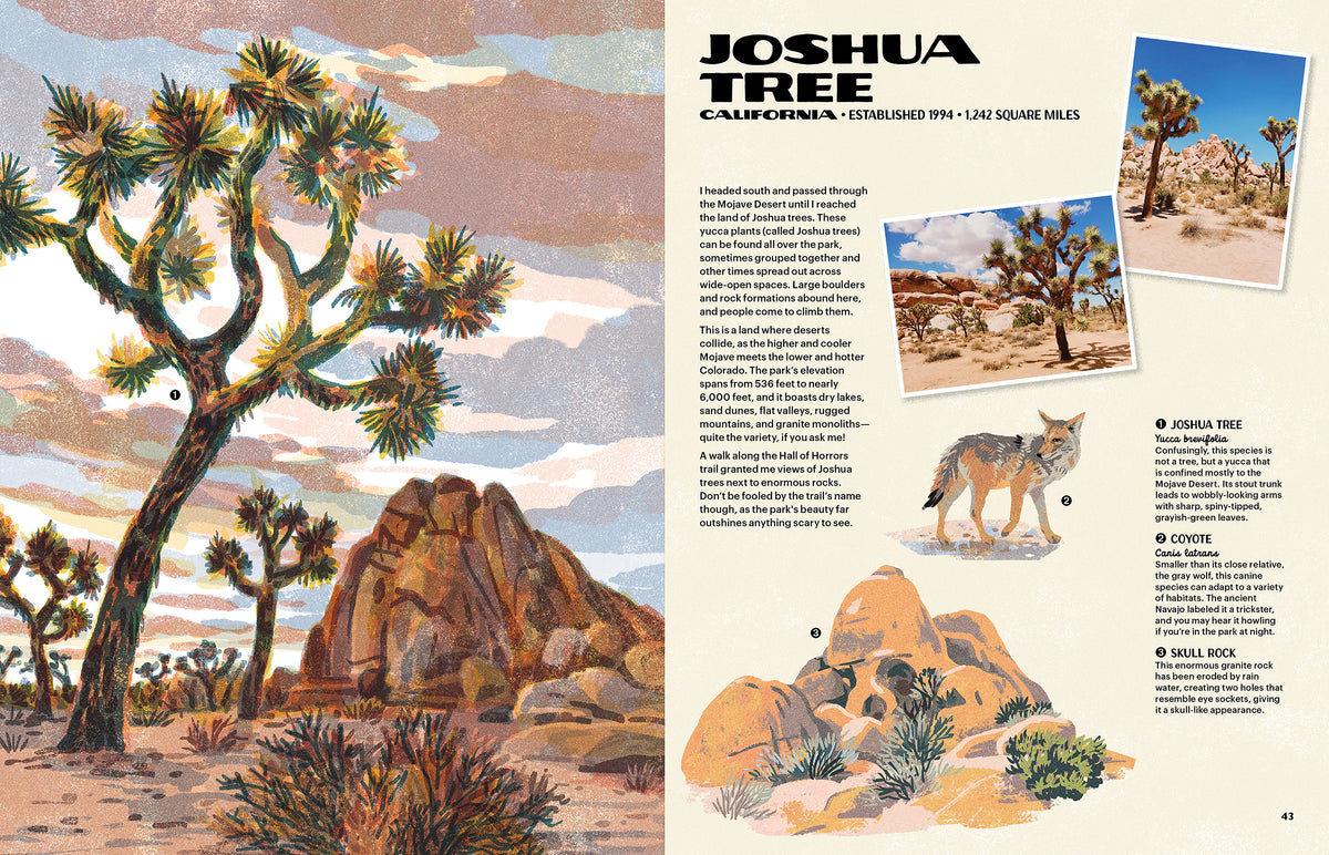 The Nature of Our National Parks