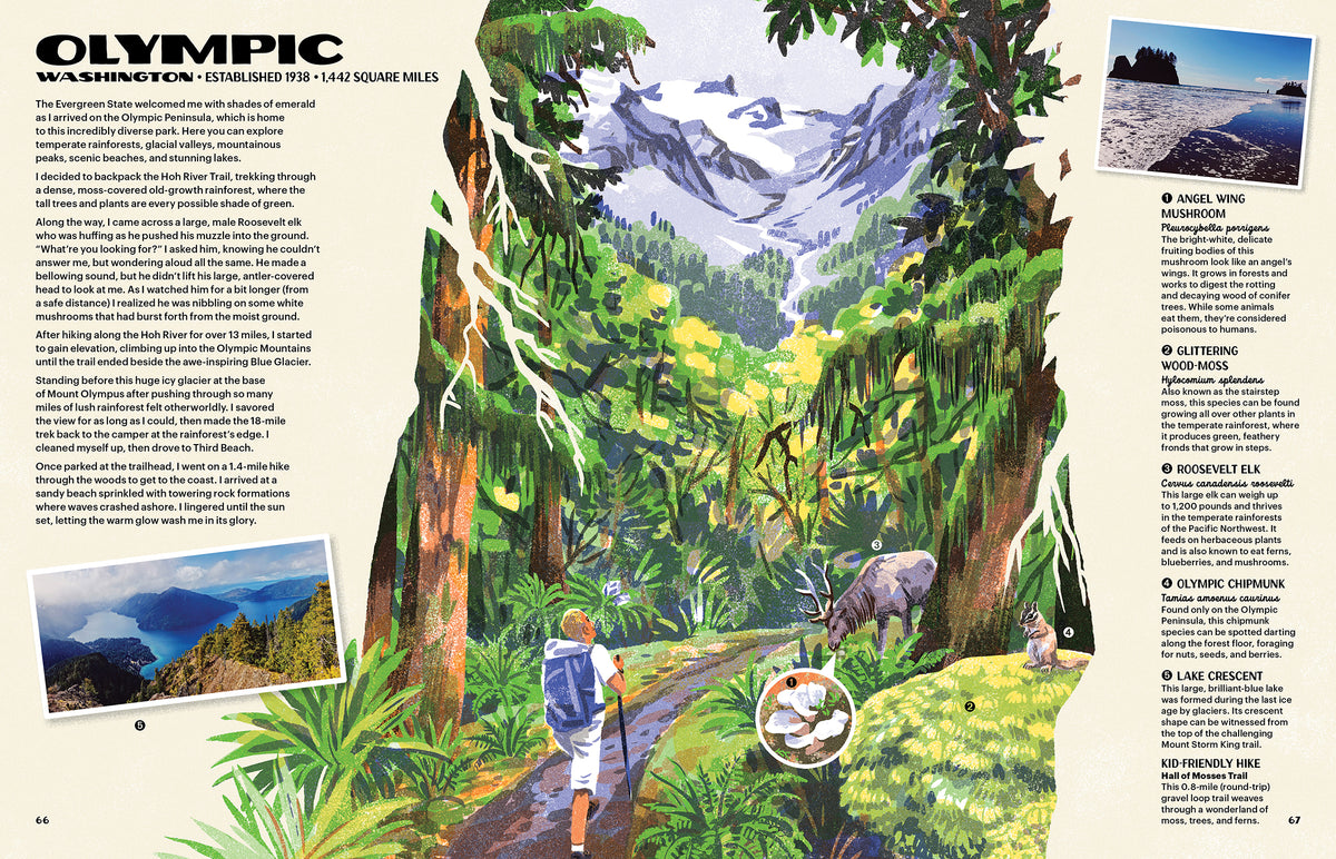 The Nature of Our National Parks