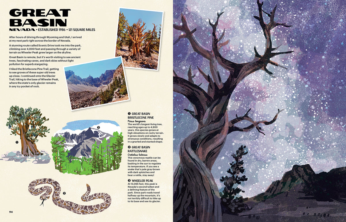 The Nature of Our National Parks