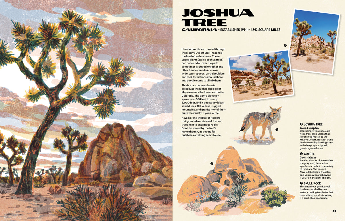 The Nature of Our National Parks