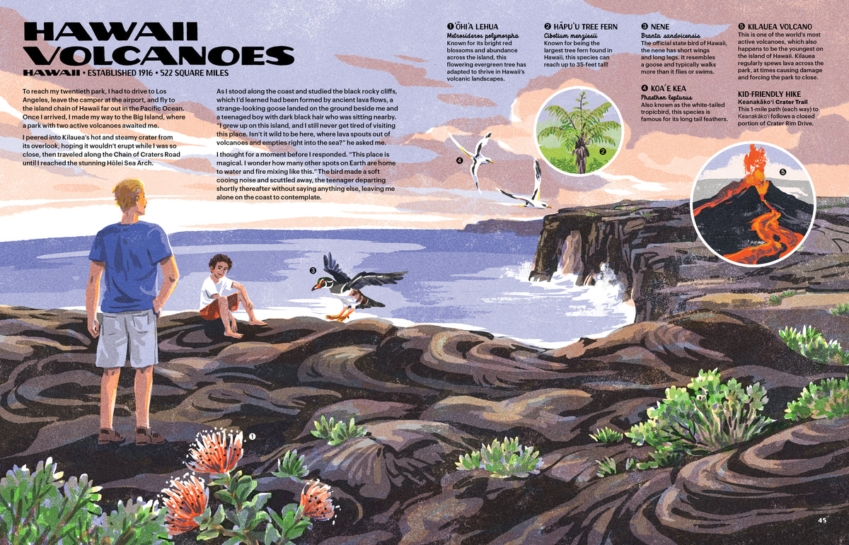 The Nature of Our National Parks