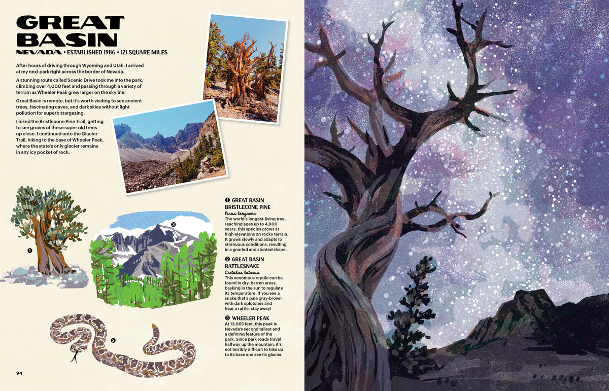 The Nature of Our National Parks