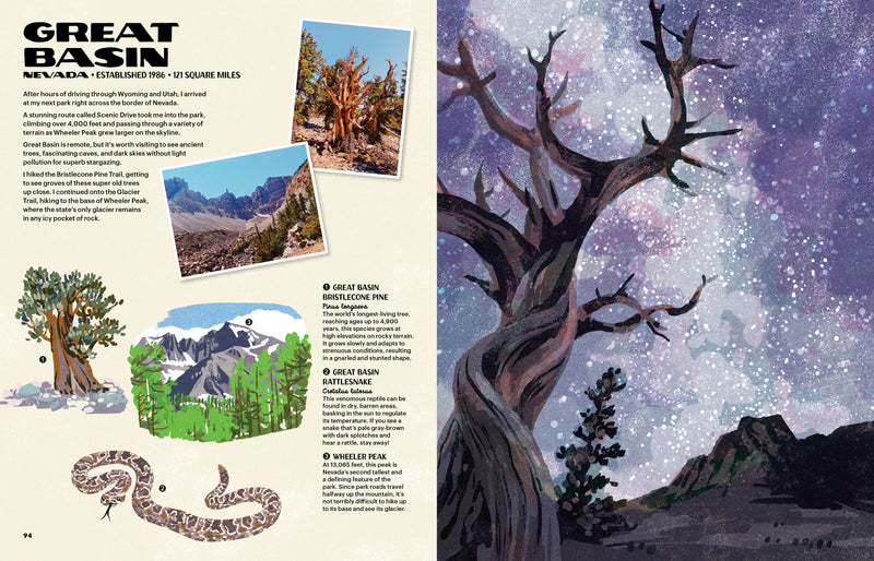 The Nature of Our National Parks