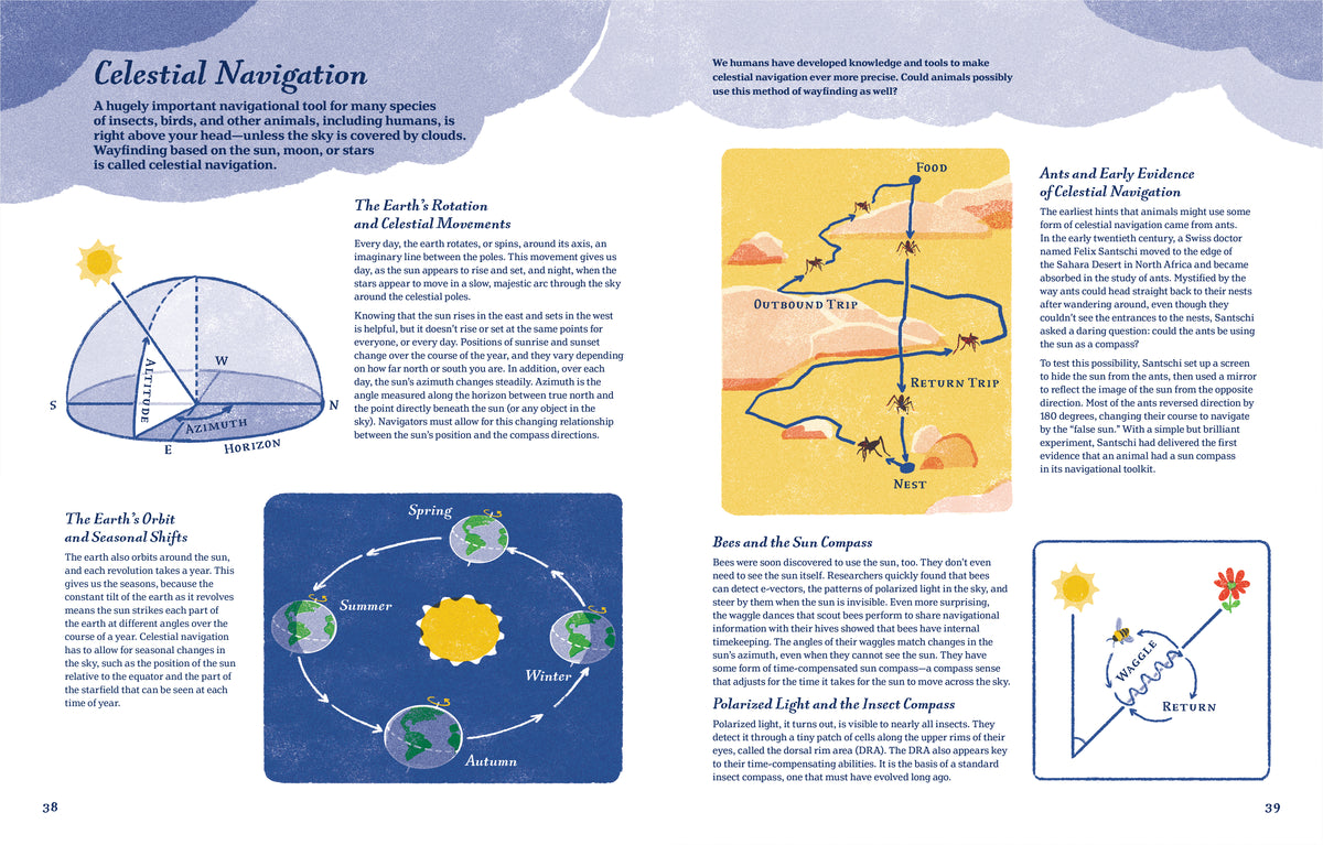 Supernavigators: How Animals Find Their Way