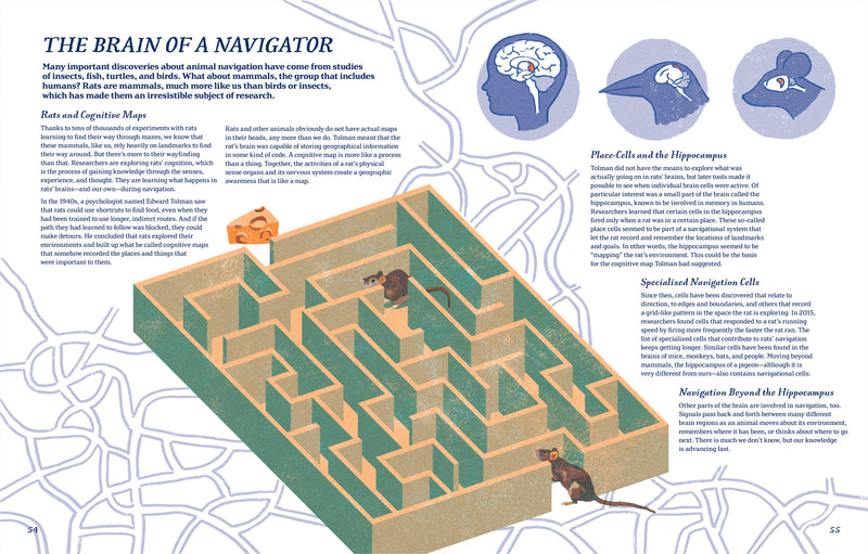 Supernavigators: How Animals Find Their Way