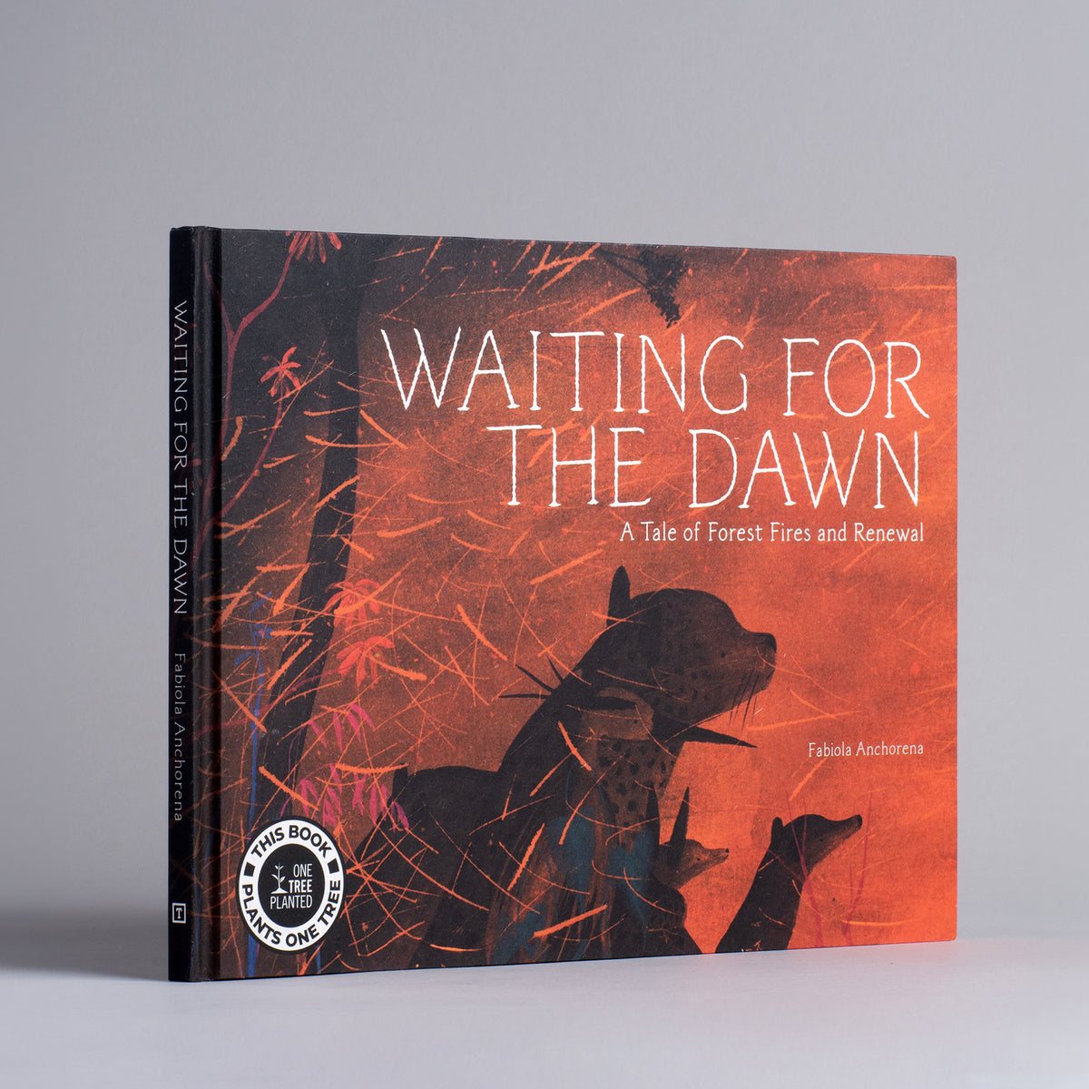 Waiting for the Dawn: A Tale of Forest Fires and Renewal