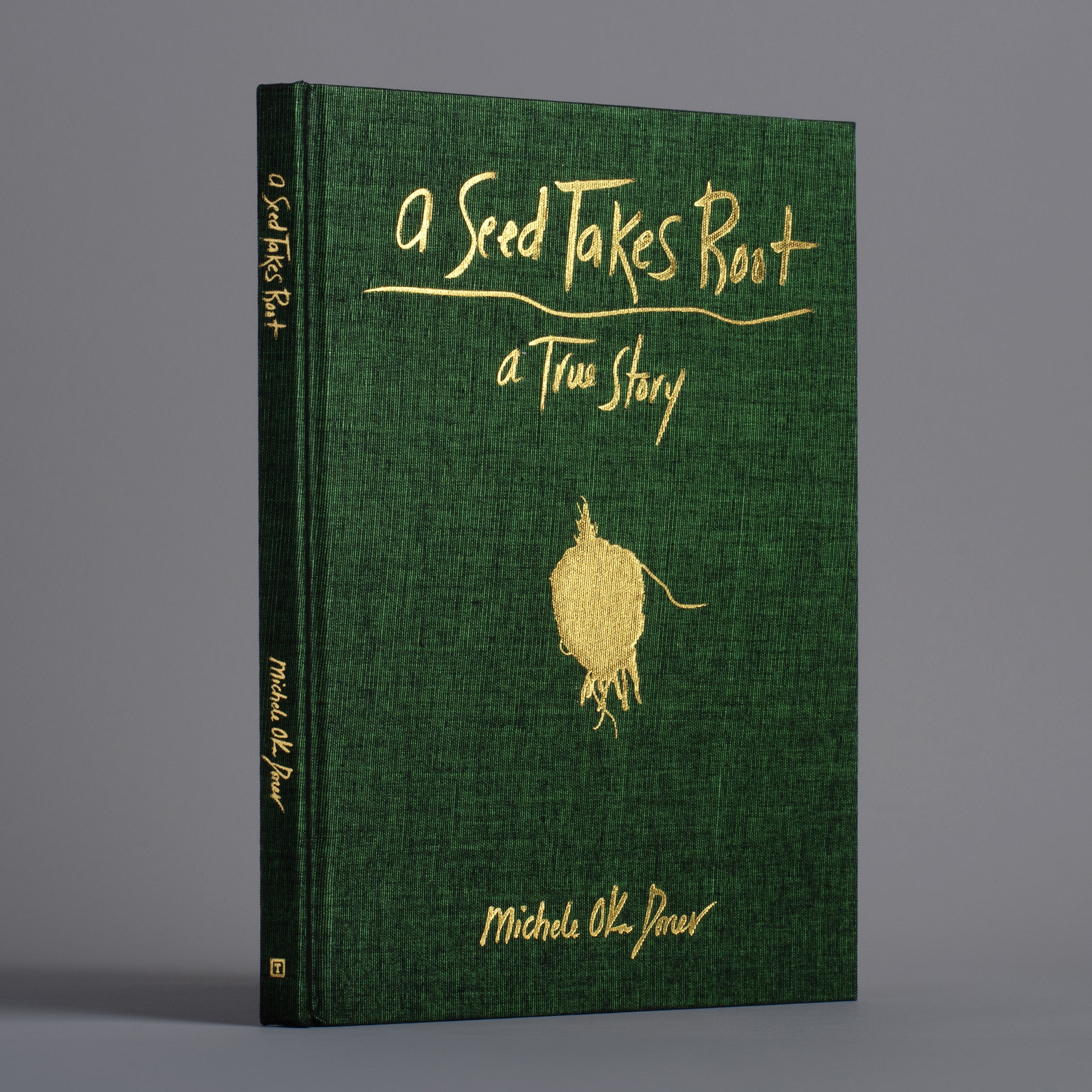 CD 安藤さと子 / A Little Seed Of One Big Tree A Little Seed Of One Big Tree - Amazon.com Music