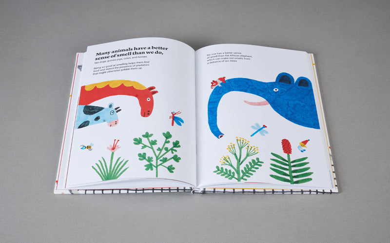 Tasty: A Curious Adventure into How, What, and Why We Taste